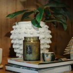 VOLUSPA, Temple Moss, Large Jar Candle, 100H, 18oz, 510g - Image 3