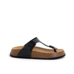 SCHOLL, Shoes